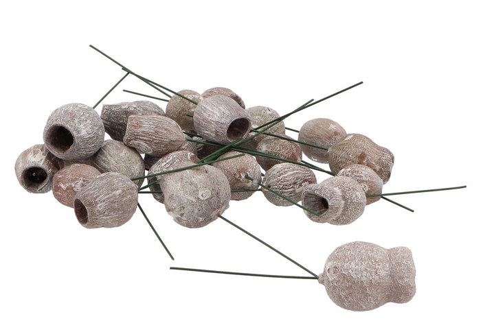 Nature Bellgum Stonewash On Wire P/100