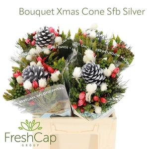 Bouquet Xmas Cone Sfb Silver