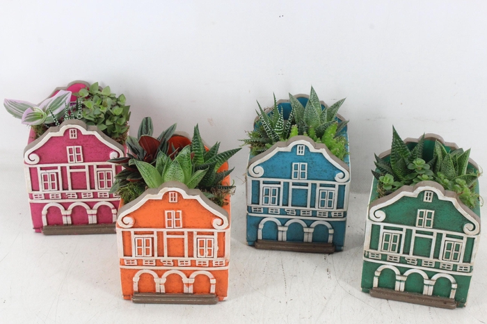 <h4>arr3 SN - Casa caribbean groot x6</h4>