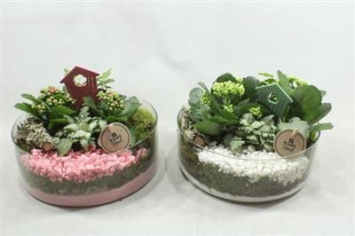 <h4>5099 CILINDER ROZE/WIT</h4>