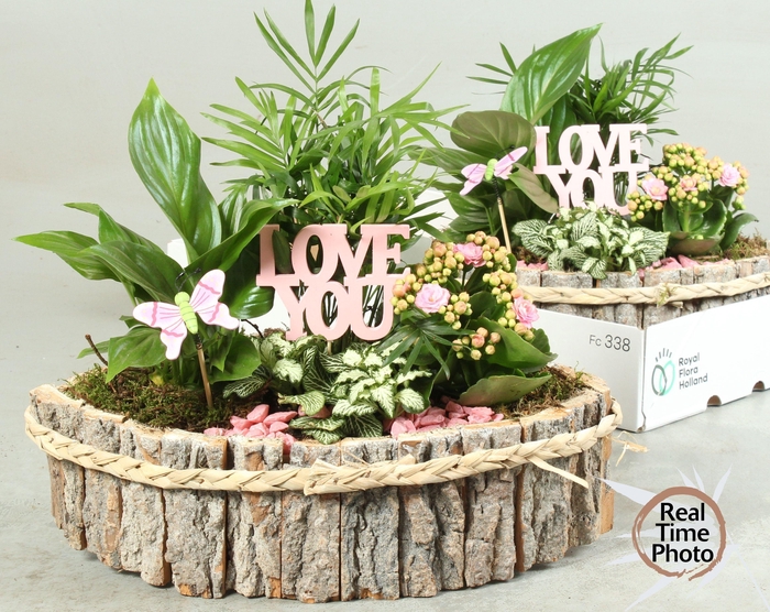 <h4>ARR KAMERPL</h4>