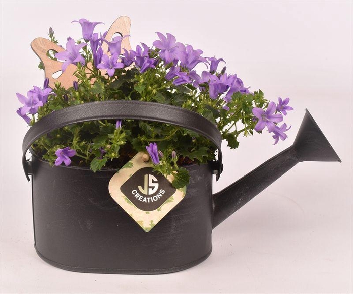 <h4>Zink gieter grijs 23x11cm</h4>