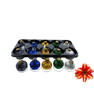 BLOEMBOL HIPPEASTRUM