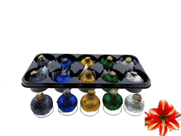 <h4>BLOEMBOL HIPPEASTRUM</h4>