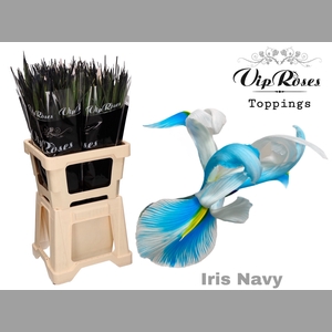IRIS NAVY