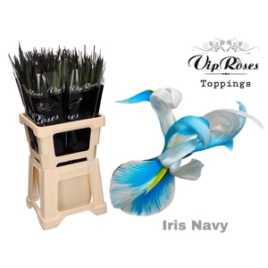 Iris Vip Navy