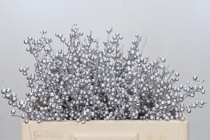 <h4>Ilex Ve Klb Zilver</h4>