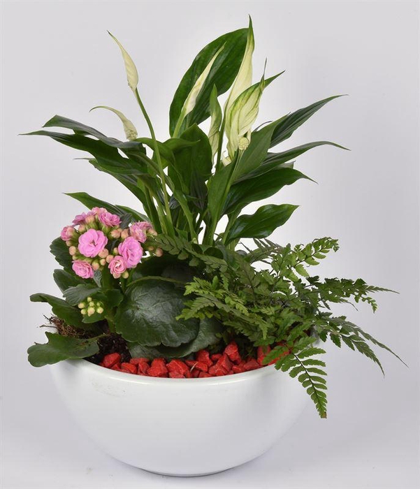 <h4>Keramiek schaal wit 20cm</h4>