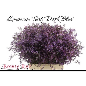 LIM SAF DARK BLUE