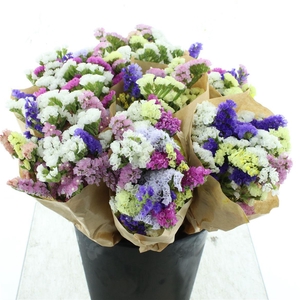 Bouquet Limonium Sinuatum Mix