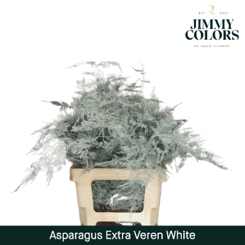 <h4>Asp extra veren White</h4>