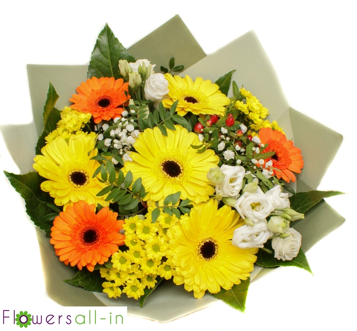 <h4>202274 geel</h4>