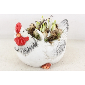 arr4 Narcis MB - Keramiek kip x2