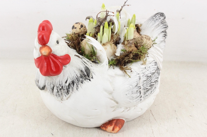 <h4>arr4 Narcis MB - Keramiek kip x2</h4>