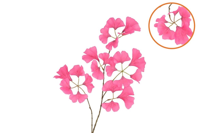 Silk Ginkgo Beauty 85cm Nm