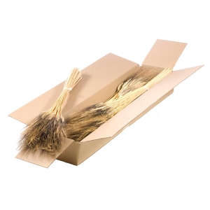 Triticum Black Wisps Sb Natural