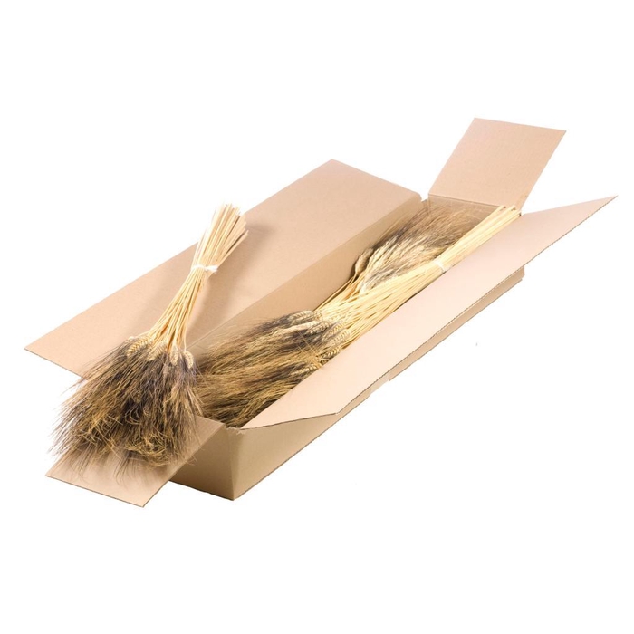 <h4>Triticum Black Wisps Sb Natural</h4>