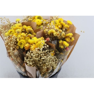 Dried Bouquet Yellow X6