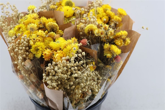 Dried Bouquet Yellow X6