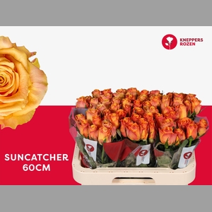 R GR SUNCATCHER