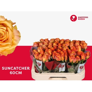 R GR SUNCATCHER