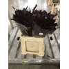 Quercus Rubra sleeve L60 Cerise h%*