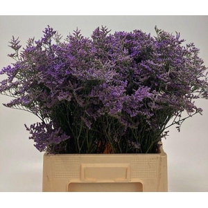 LIM SAF CLASSIC BLUE 40gr