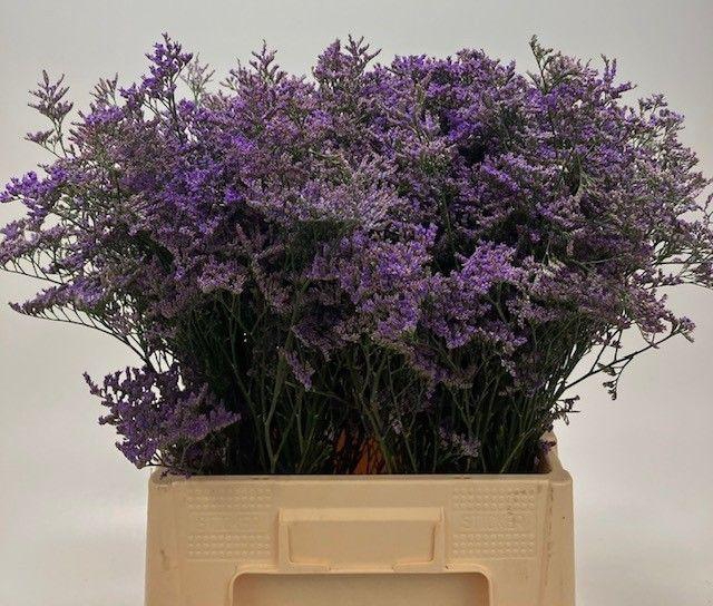 <h4>LIM SAF CLASSIC BLUE 40gr</h4>