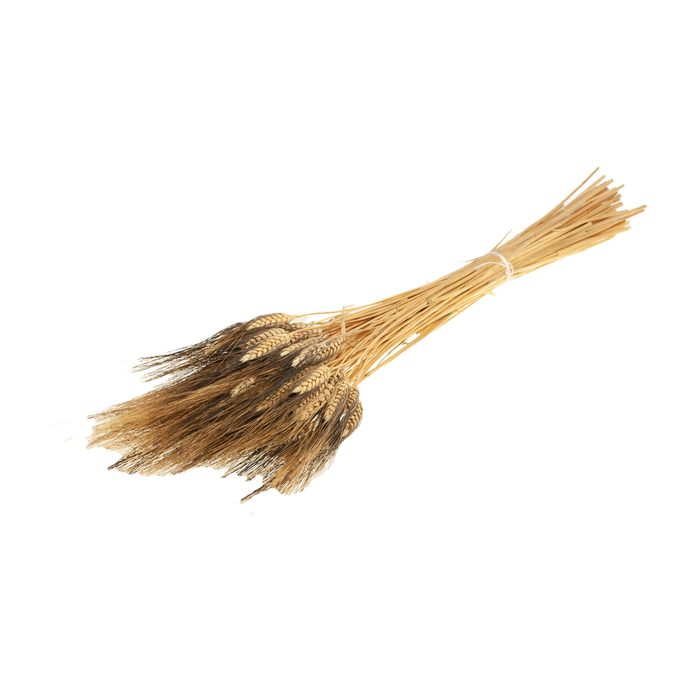<h4>Triticum Black Wisps Natural</h4>