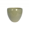 VASO LORANCE MENTA D15 A13 IMP