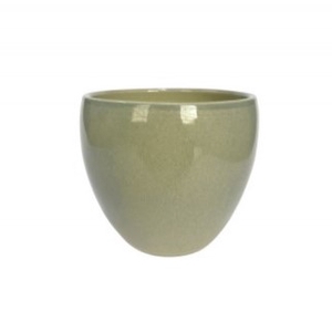 VASO LORANCE MENTA D15 A13 IMP
