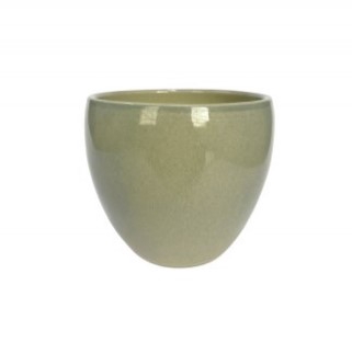 VASO LORANCE MENTA D15 A13 IMP