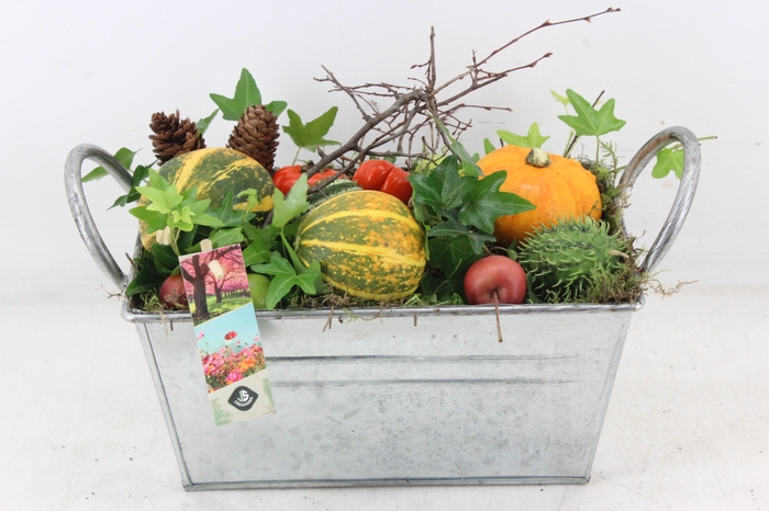 <h4>arr4 Sierfruit JS - Zink rechthoek XL</h4>