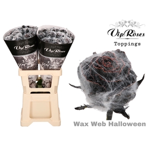 R Gr Wax Web Halloween