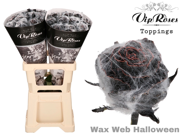 <h4>R GR WAX WEB HALLOWEEN</h4>