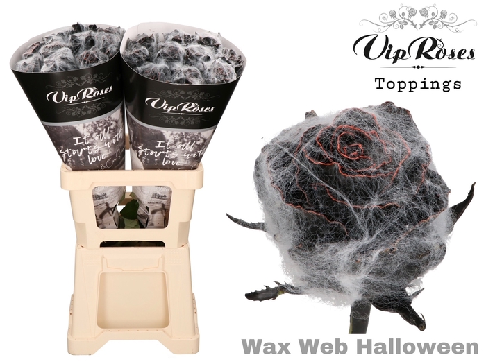 <h4>R Gr Wax Web Halloween</h4>