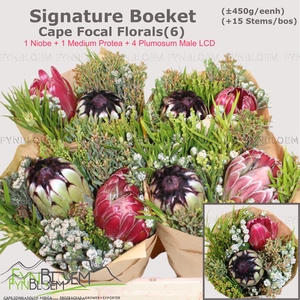 PROTEA PER BOS