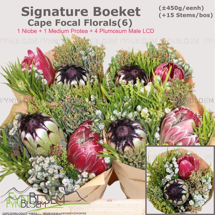 <h4>PROTEA PER BOS</h4>