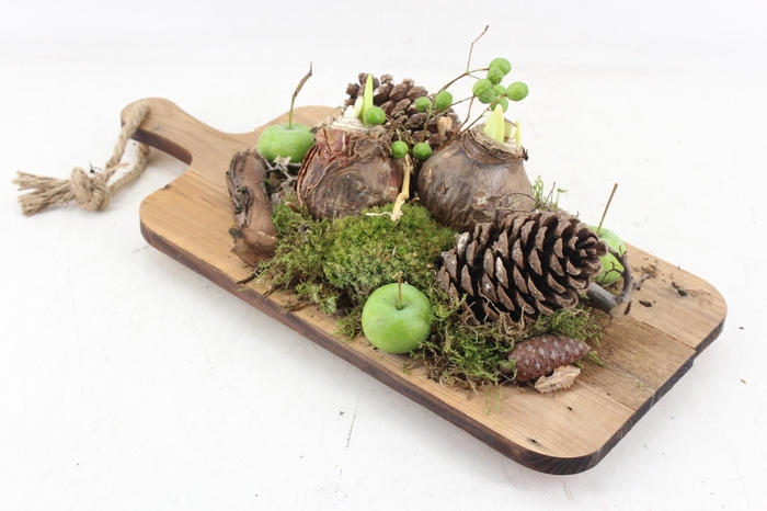 <h4>arr4 Amaryllis MB - Hout dienblad XL 2bol</h4>