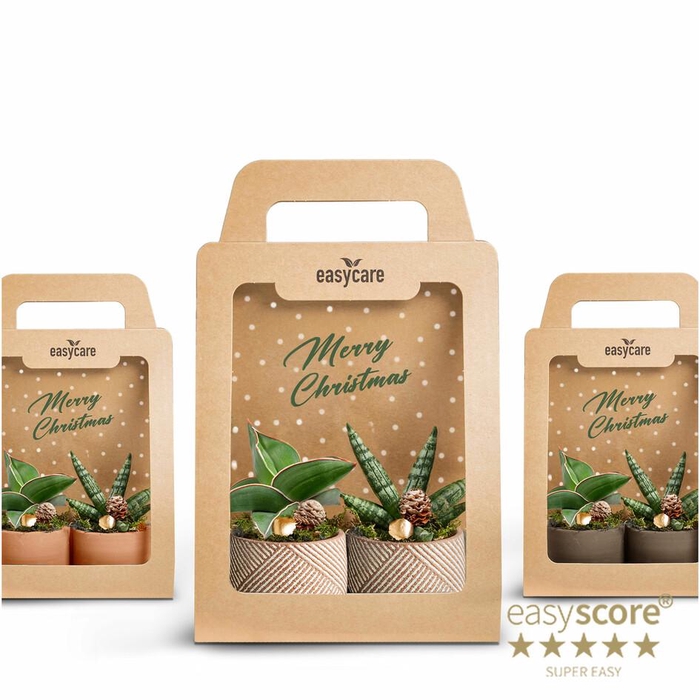 <h4>Christmas 2-pack</h4>