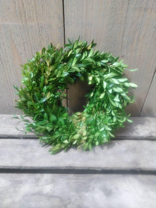 <h4>KRANZ 17 BUX KRANZ 15CM</h4>