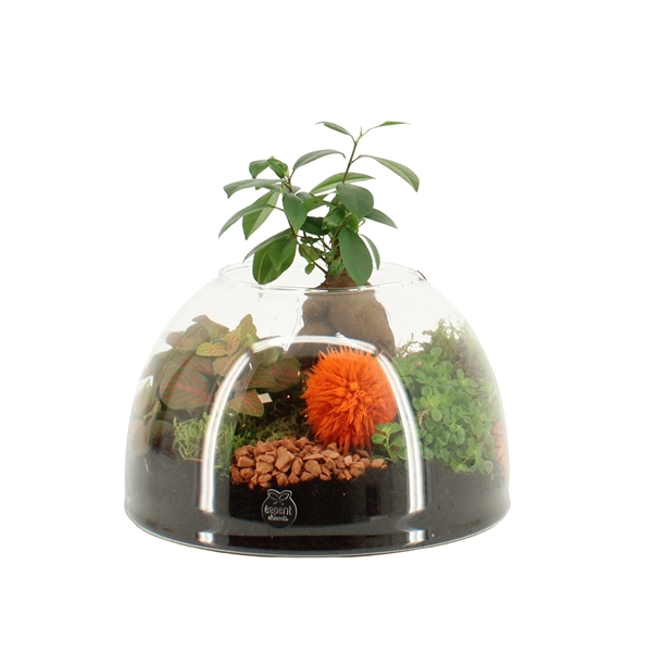 <h4>41600: Treasure time arrangement</h4>