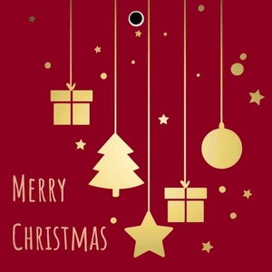 Kerst Kaart 7*7cm x20 MerryChristmas