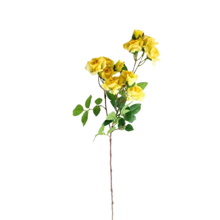 <h4>Rosa spray 65cm</h4>