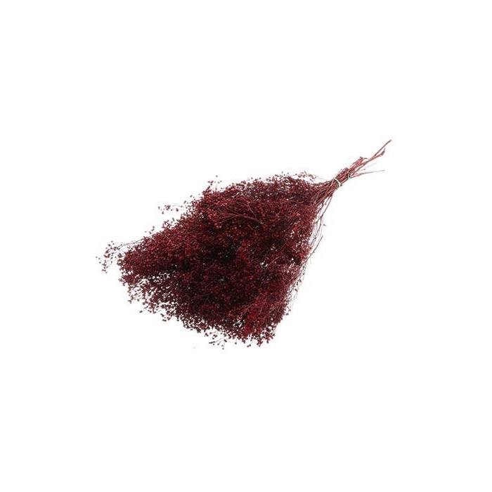 <h4>Bunch Broom Slv 100g L45</h4>