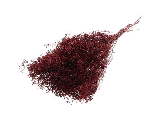 Bunch Broom Slv 100g L45