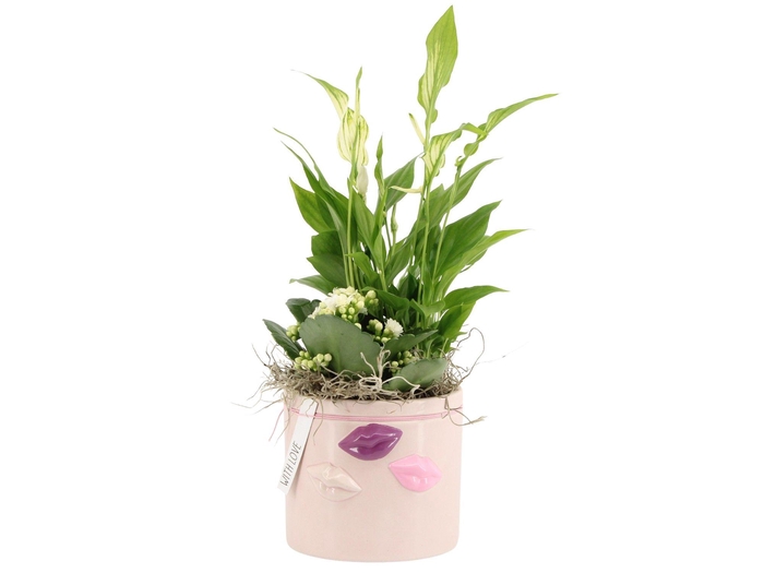 <h4>21572: Lovess arrangement</h4>