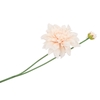 Silk Dahlia Spike Champagne 78cm Nm