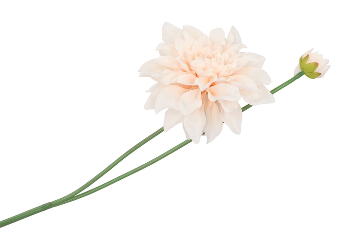 Silk Dahlia Spike Champagne 78cm Nm
