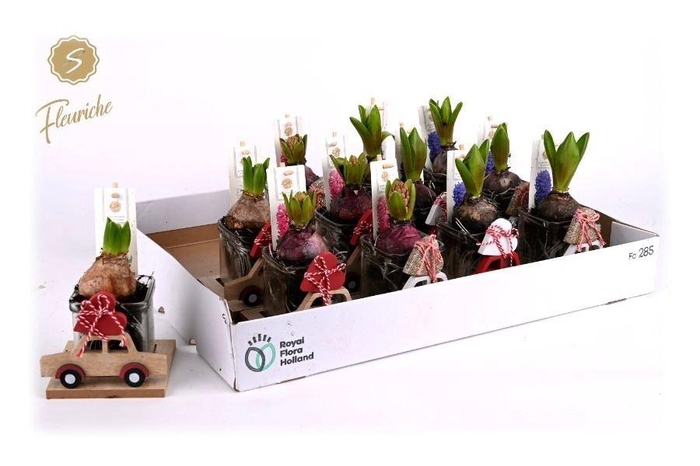 arr8 Arr Hyacinth Hout & Glas Decopotje